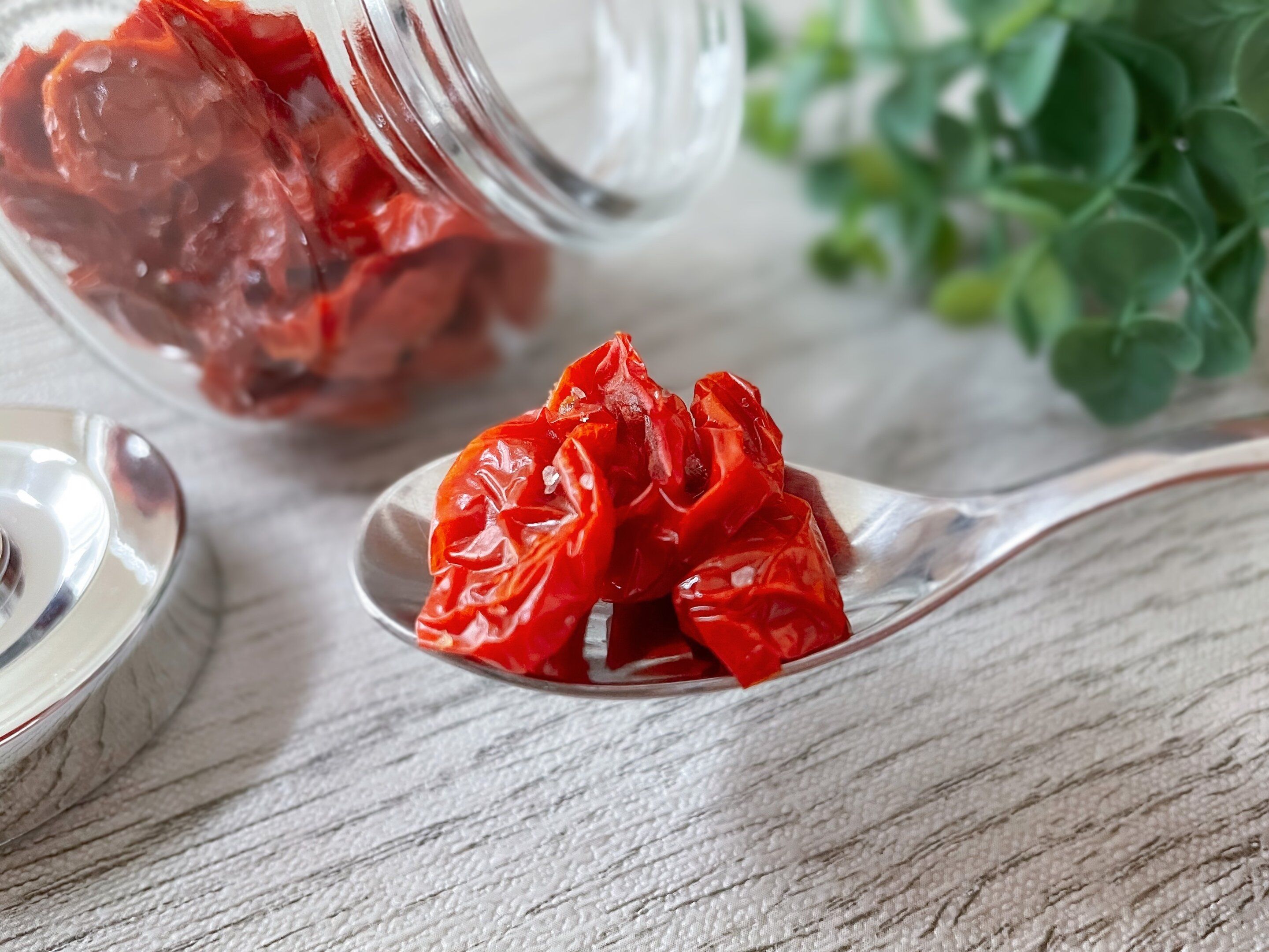 買うと高いけどじつはつくったら簡単！ドライトマトはトマトと塩だけで手作りできる