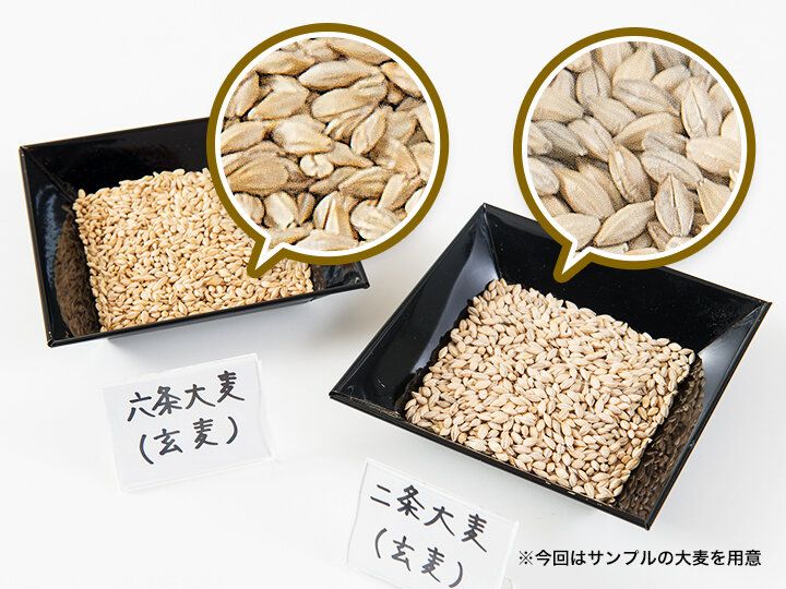 【500名プレゼント】長年愛され続ける伊藤園の健康ミネラルむぎ茶のおいしさの秘密「やかん品質」に迫る！