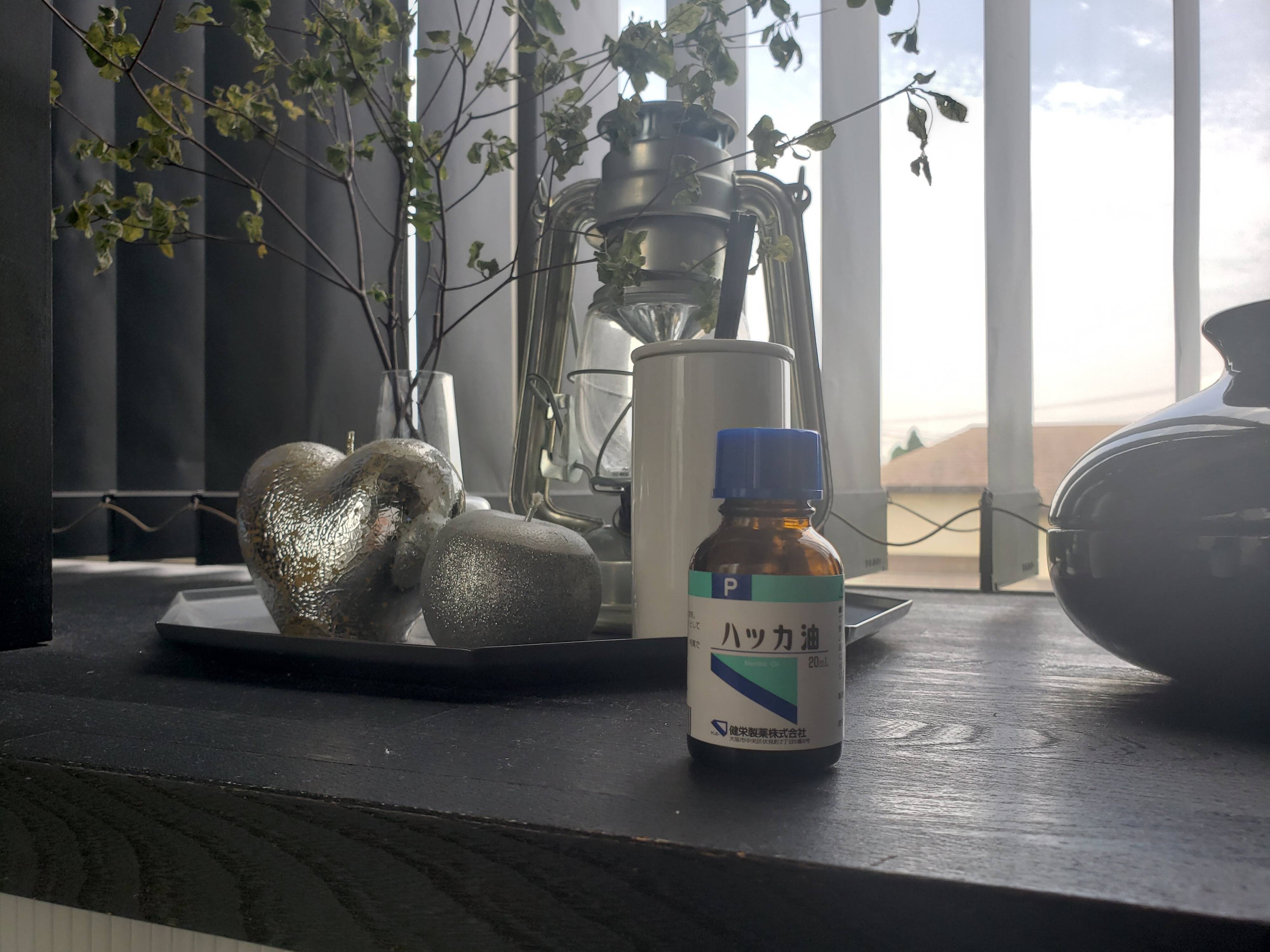 【ハッカ油】これ一本で家中快適！これからの季節にぜひ使って欲しいオススメの活用法３選