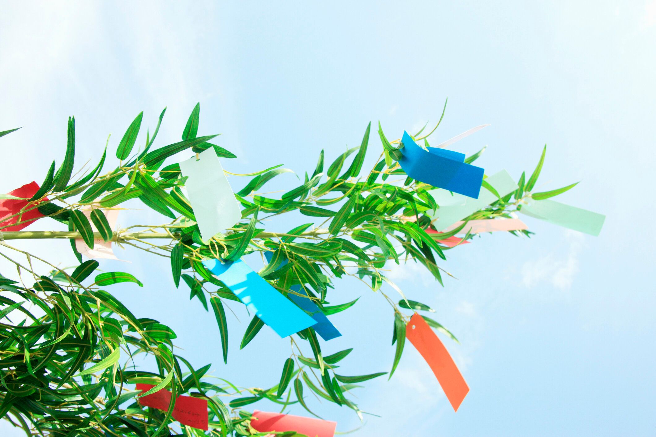 7月にやらないと金運が下がることって!?【Dr.コパの風水解説】