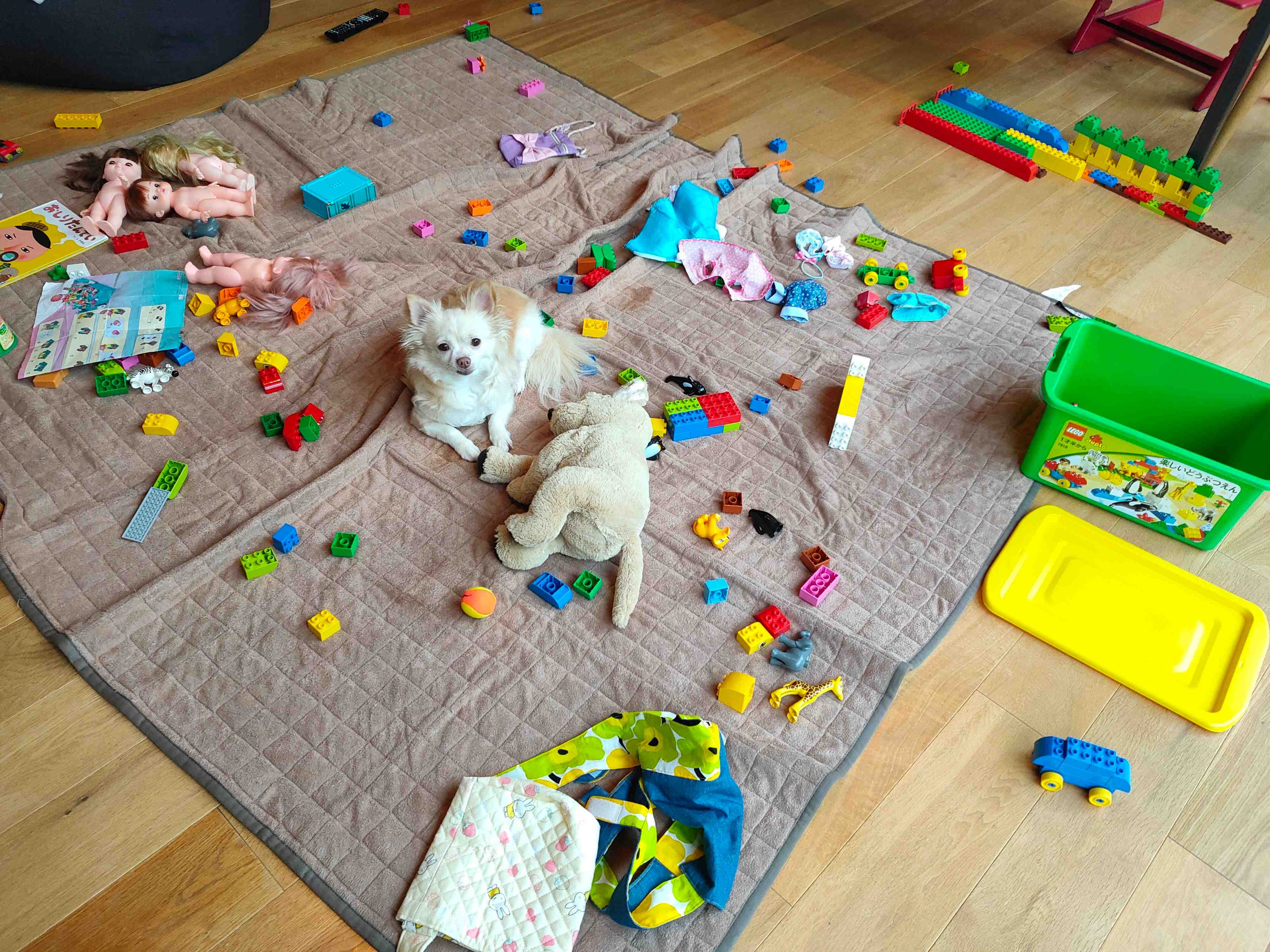 声を大にして言いたい！片付けのプロって実は○○なんです！