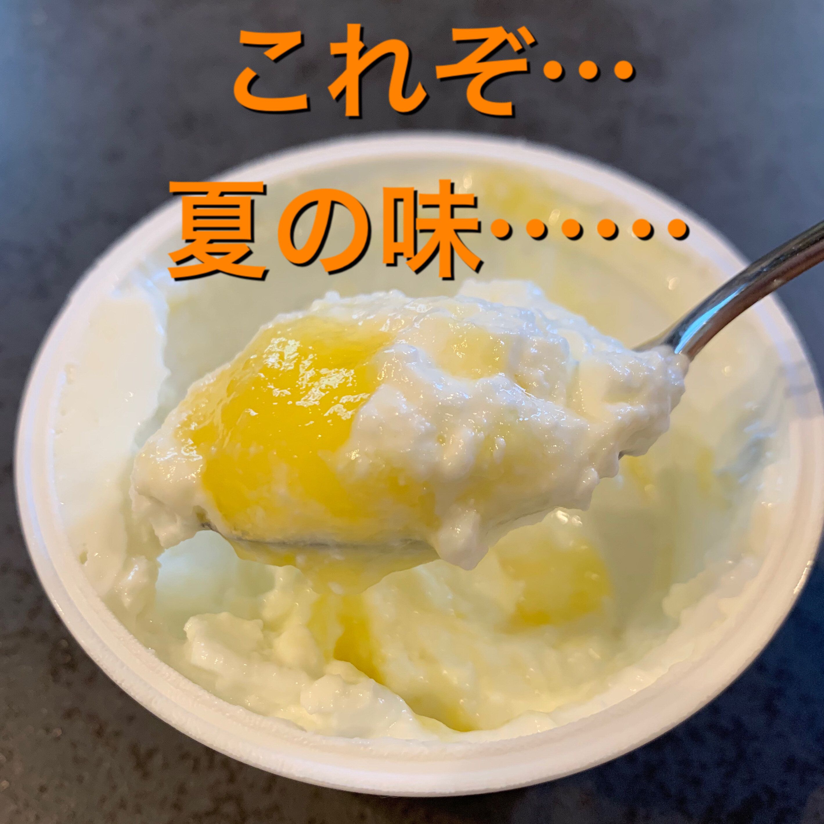 【イオン】-10kgの主婦が箱買いしたいレベルで愛する、高たんぱく・脂肪0の夏の味！