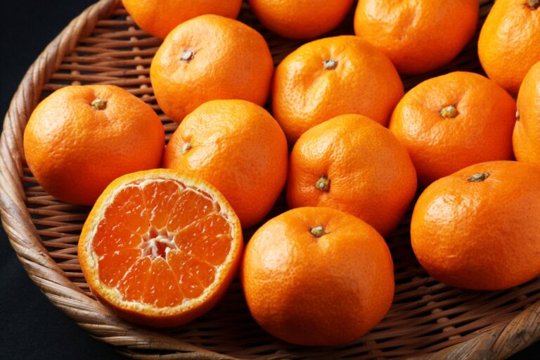 【管理栄養士監修】「みかん」のカロリーは高い？炭水化物量とおすすめのダイエットレシピを紹介