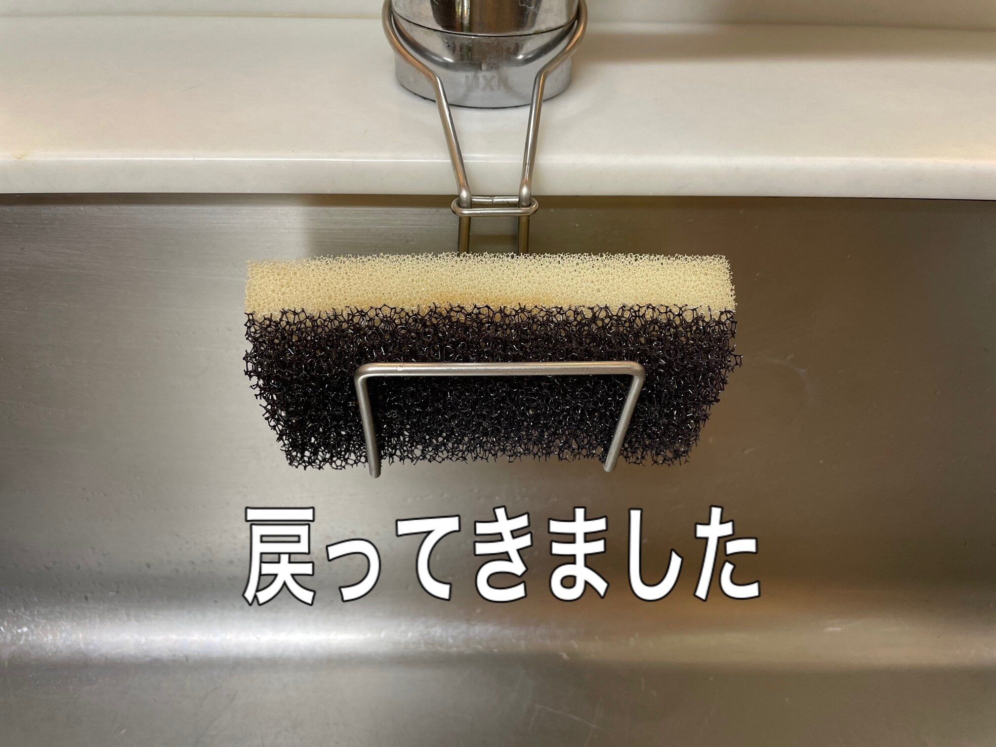 一度食器洗いスポンジを手放した主婦が、もう一度スポンジに戻ってきた理由