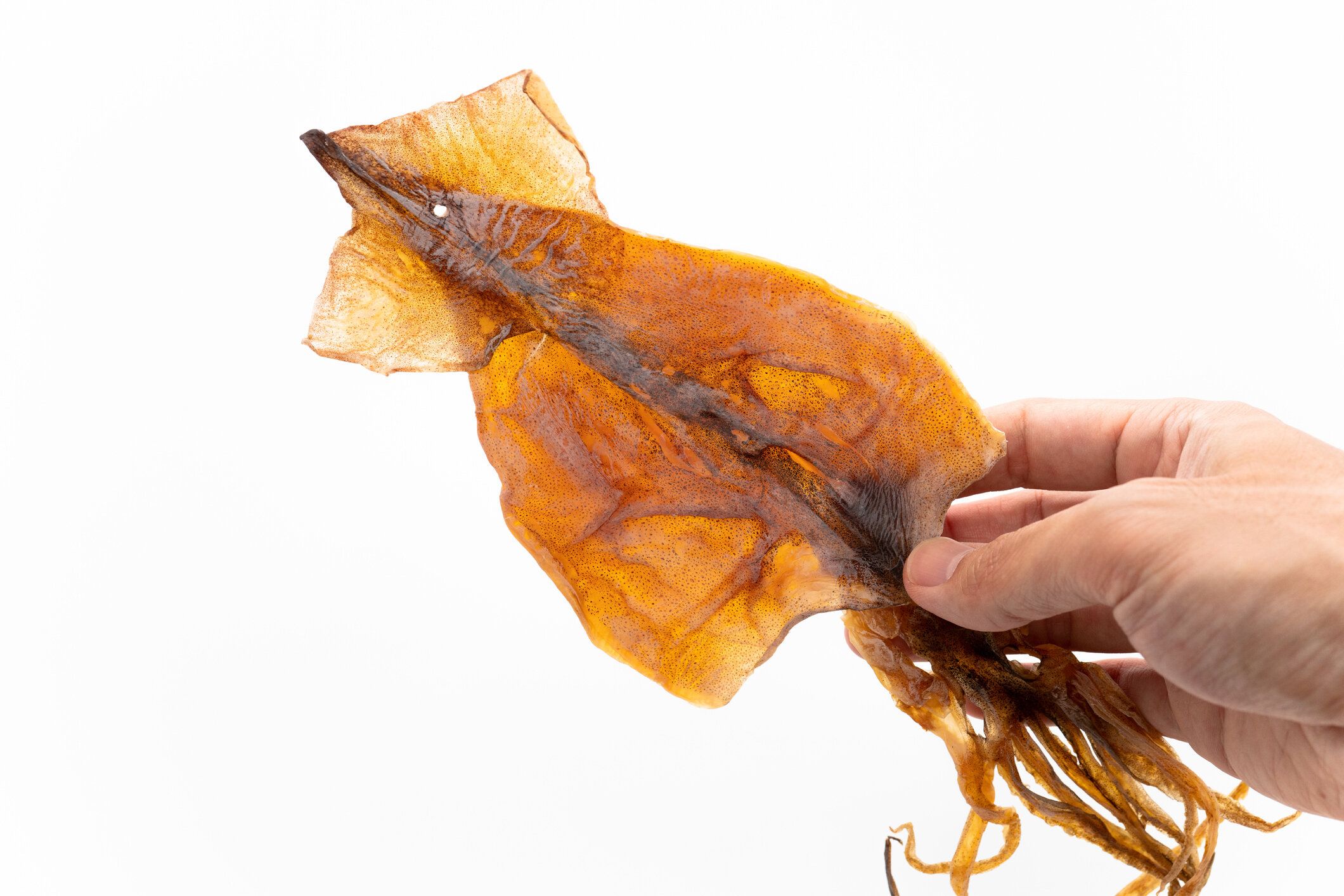 【管理栄養士監修】気になる「するめ」のカロリーや炭水化物量とは？食べる際に押さえるべきポイントを紹介