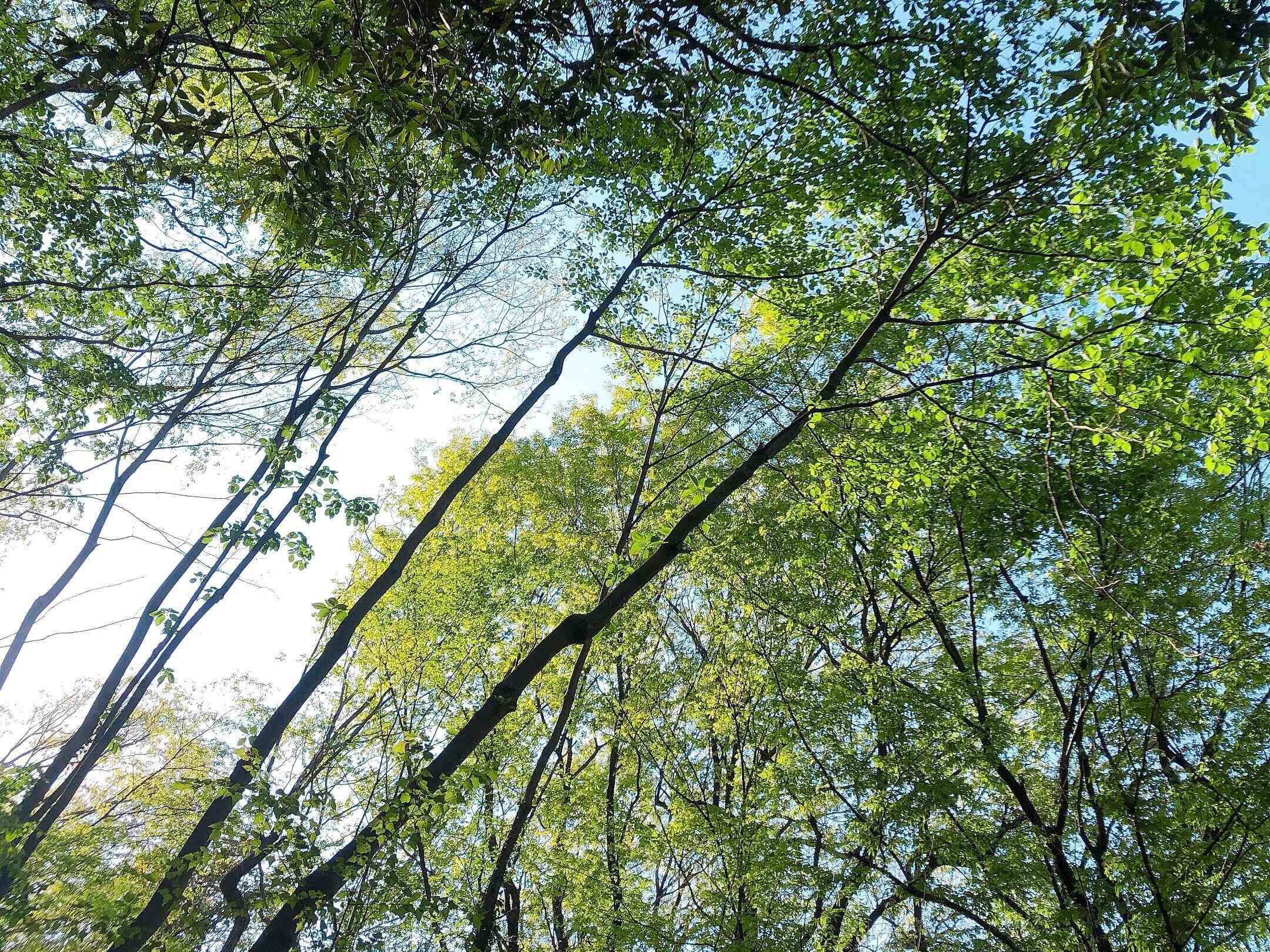 【“朝”あえてやらないこと】時間に追われないために必要最低限しかやりません！