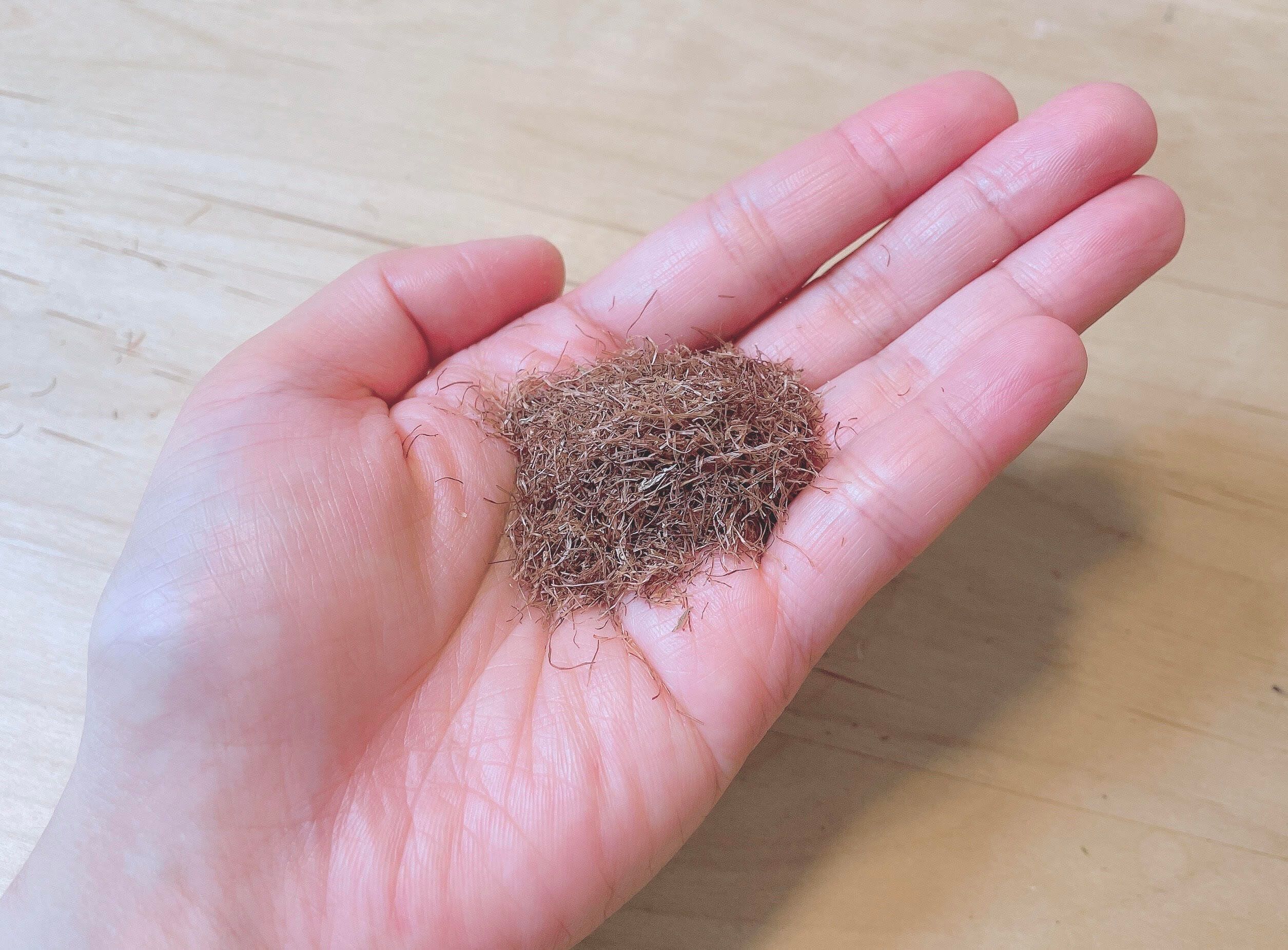 【薬膳×韓国】梅雨時期の体調不良にも！韓国の食堂で水代わりに出てくる〇〇茶って！？