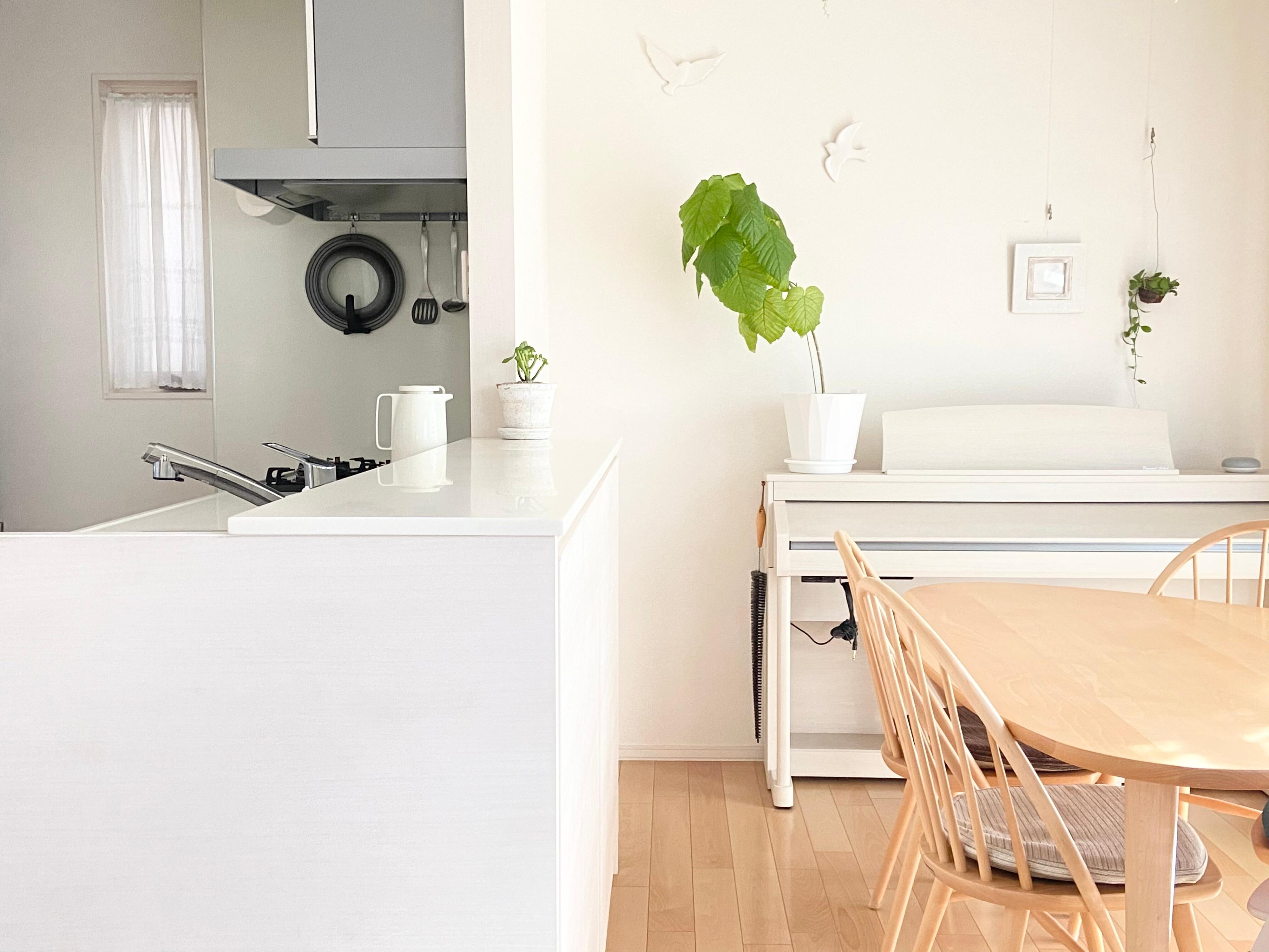 物の数が減り、自然とお家が整うたった１つのコツとは？！