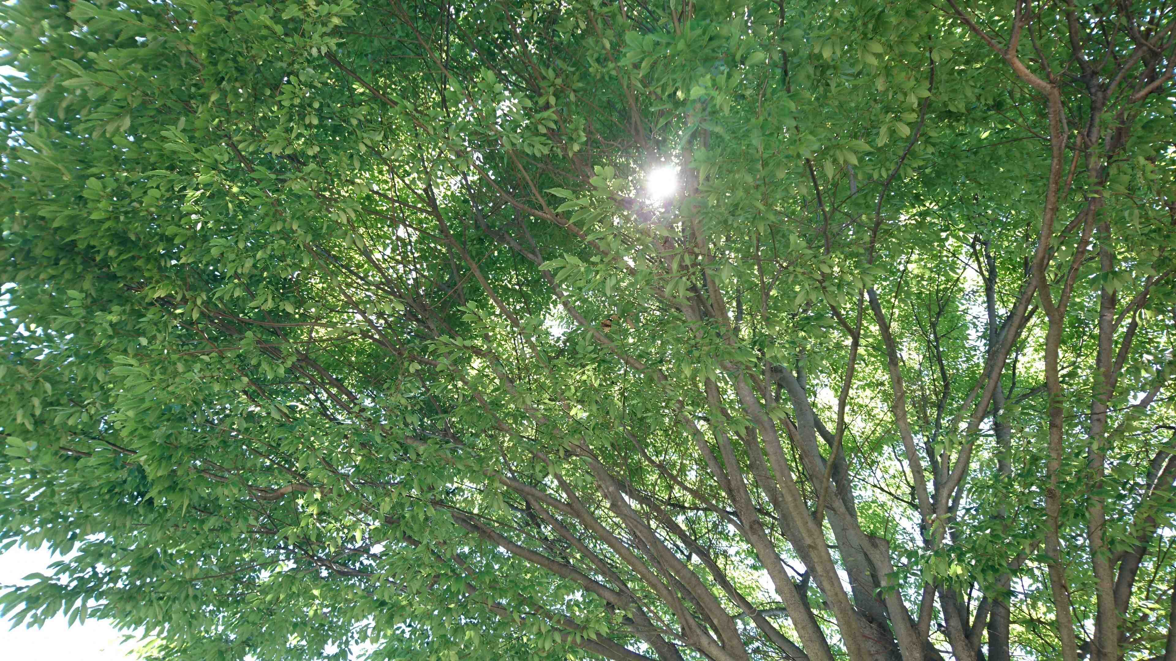 【エコ生活】エコは身近に溢れている