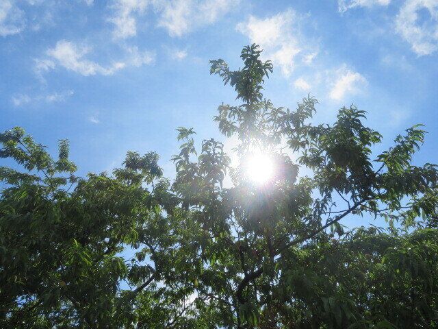 暑い夏だけ！いつもの習慣にプラスして朝早くやること3