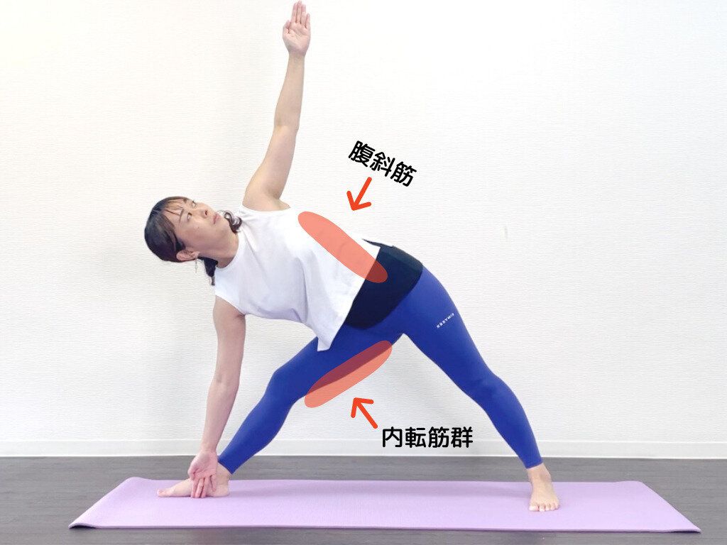 【簡単ヨガ】朝1分でOK！40代がウエストと下半身を引き締めたいなら体幹が大事！