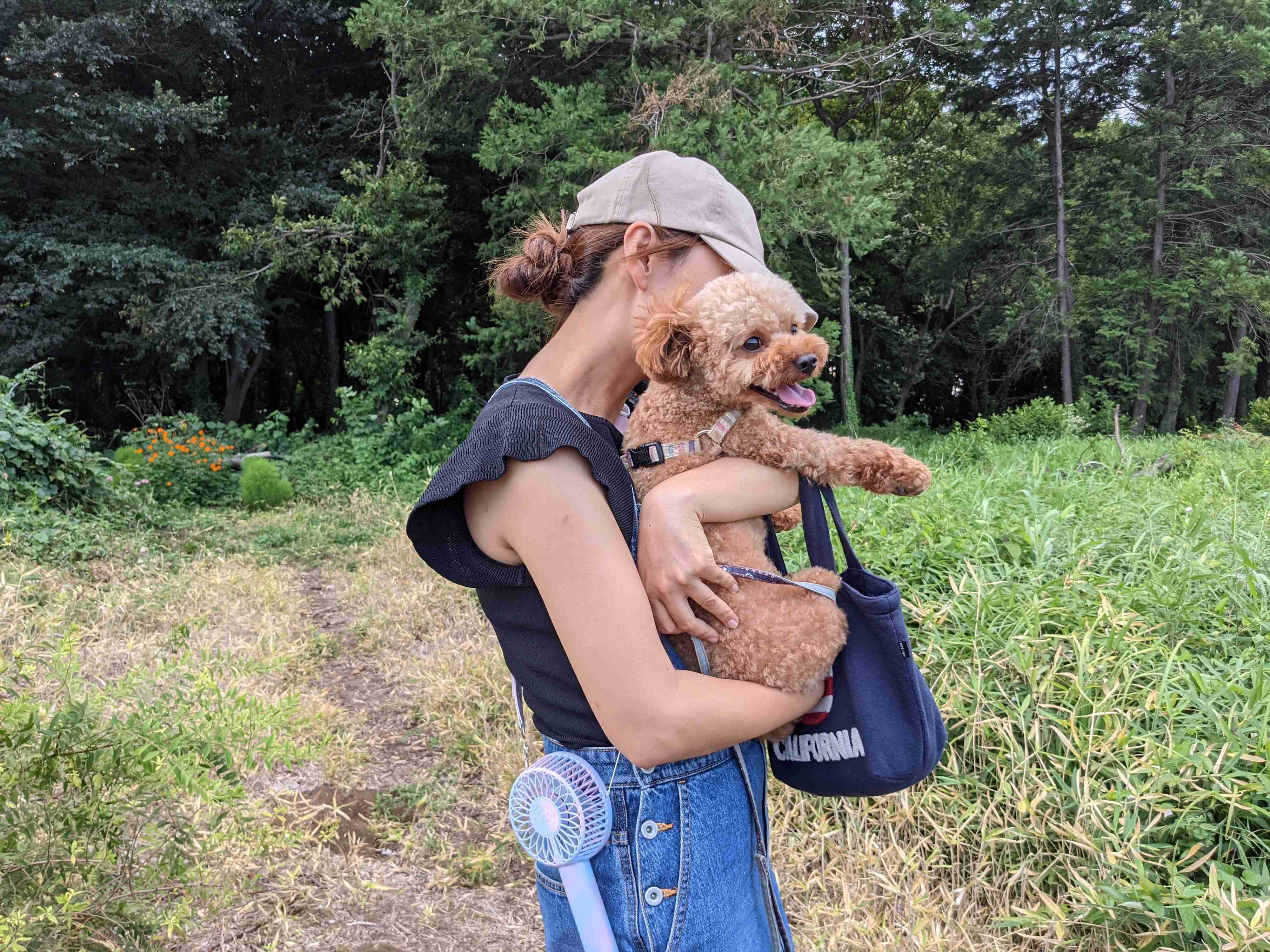とにかくかわいい！Francfrancの扇風機がかわいすぎてズルイ！