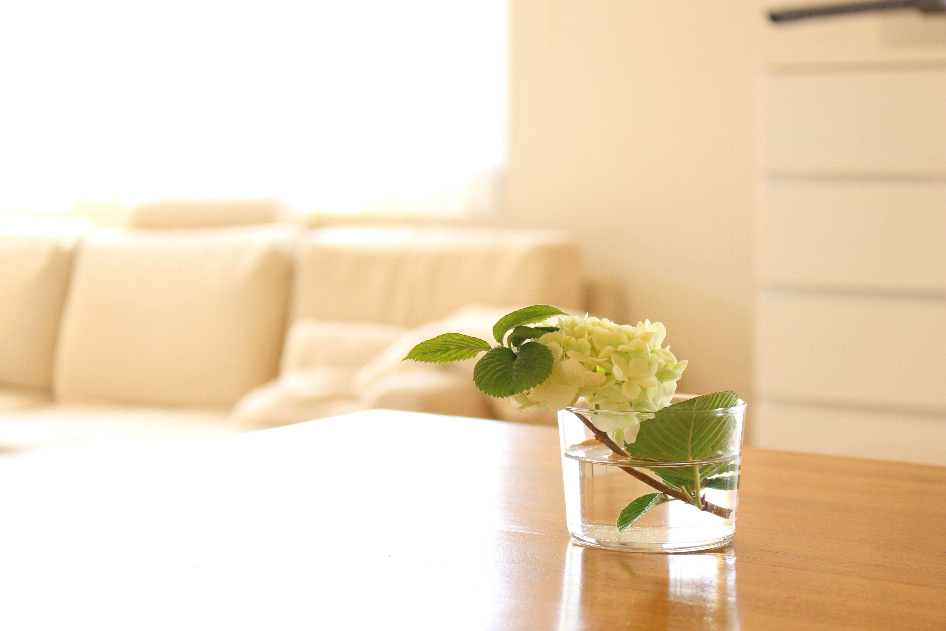 3児のママが片づけに目覚めたら人生が変わった!?5つの気づきを紹介