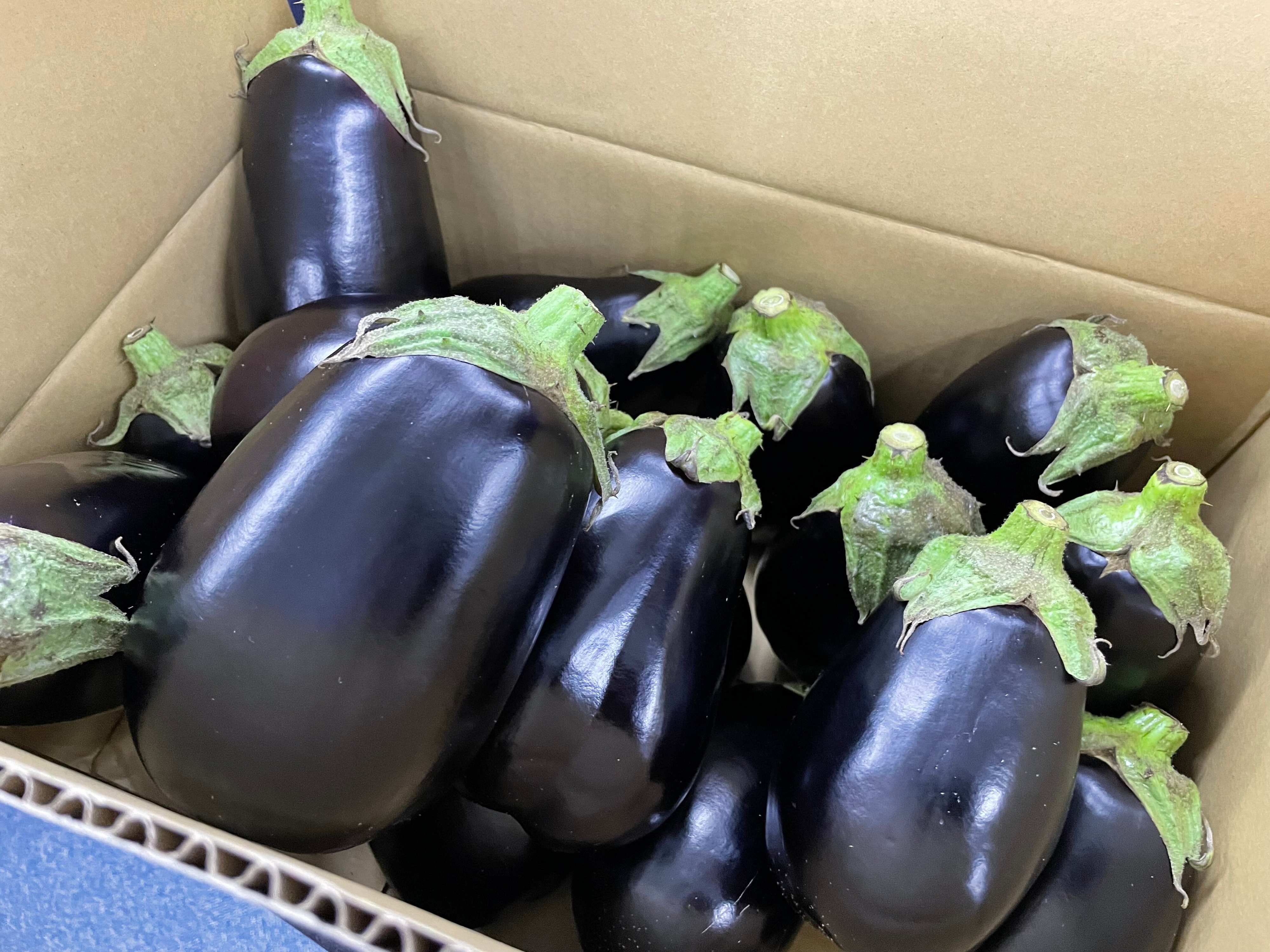 「米ナス」を食べて投稿して、夏を乗り切ってプレゼントをもらおう！ アツいまち「四万十市」の名産「米ナス」で、お得＆楽しい熱中症対策キャンペーン開催中