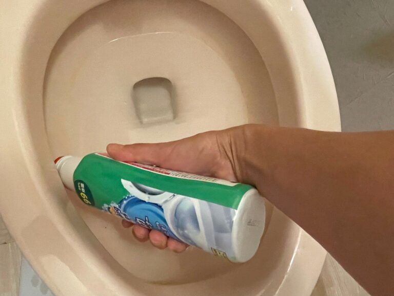 「今までの掃除はなんだったの？」20年以上の主婦歴でついにトイレブラシをやめたらこうなった！