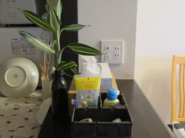 生活感はあってもいい！楽するためにあえて出しっぱなしにするもの