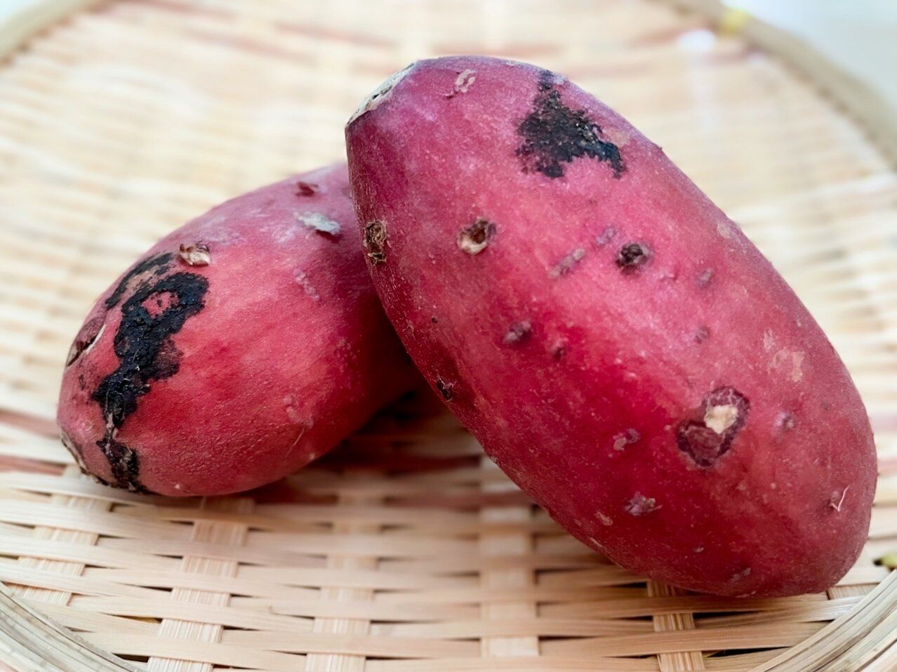 野菜のプロが教える！甘いさつまいもには〇〇がついている