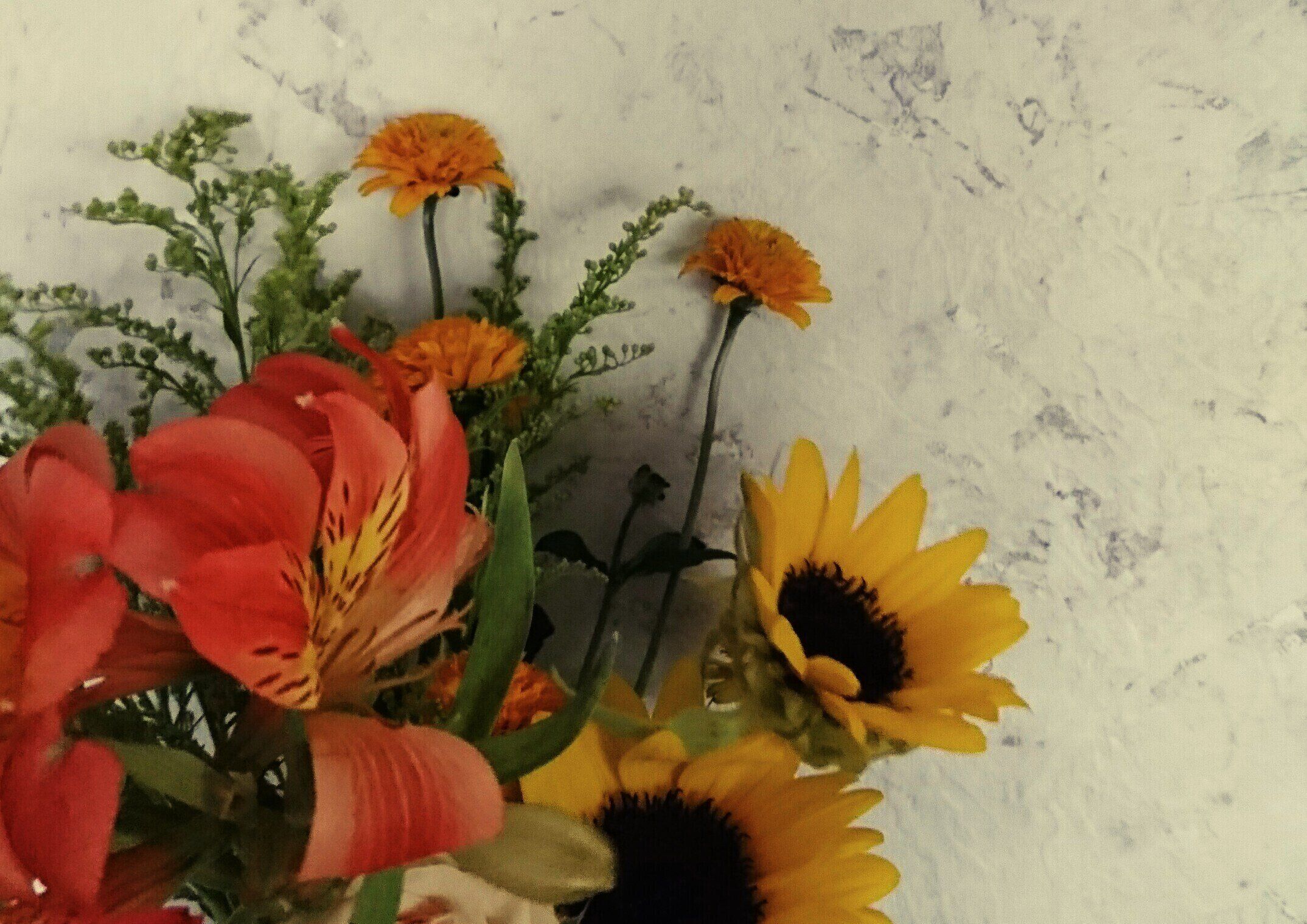 ズボラにしか出来ない！？リビングの綺麗キープ術！