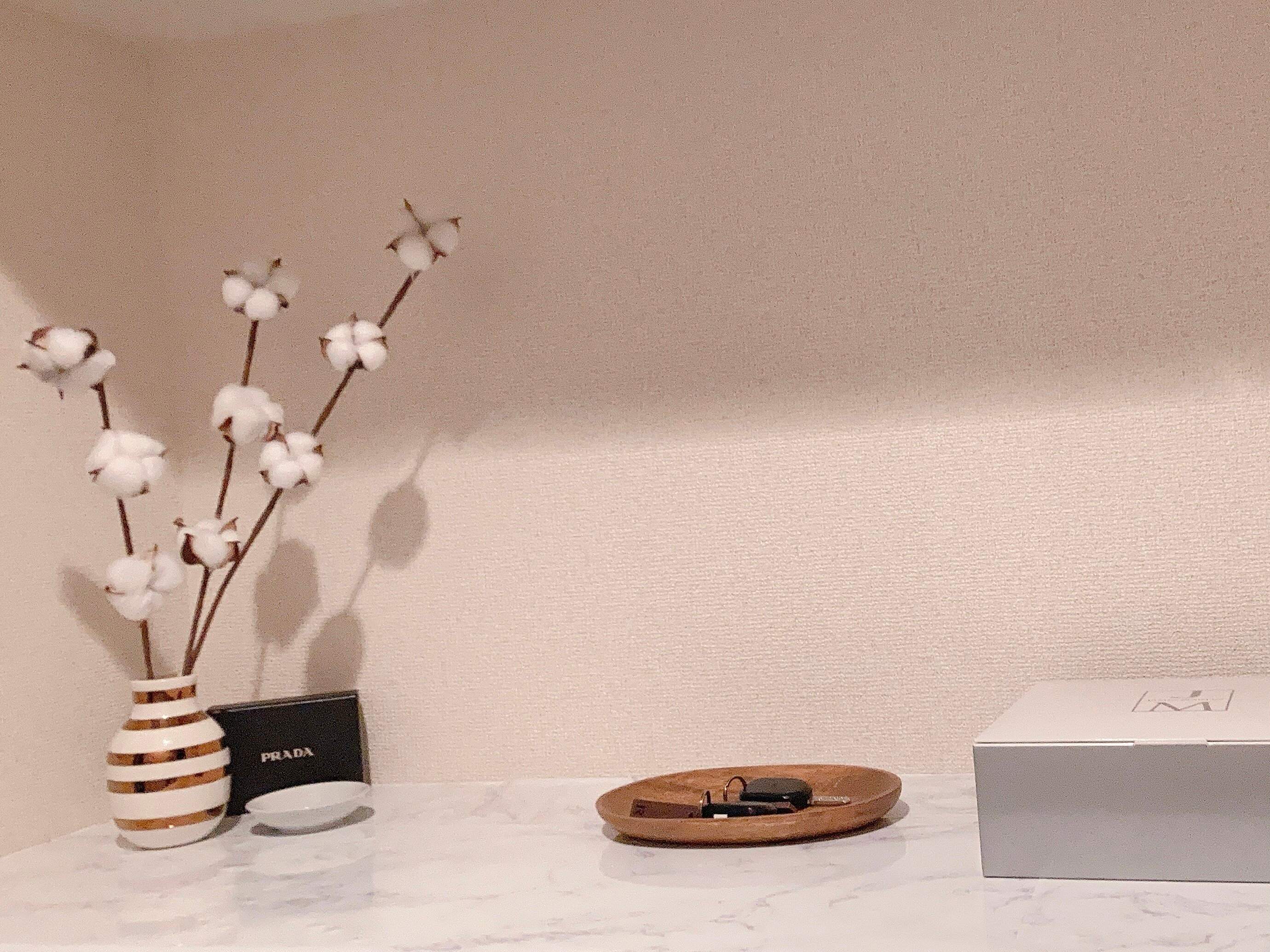 玄関にこれがない生活はもう考えられない！必須アイテム5選