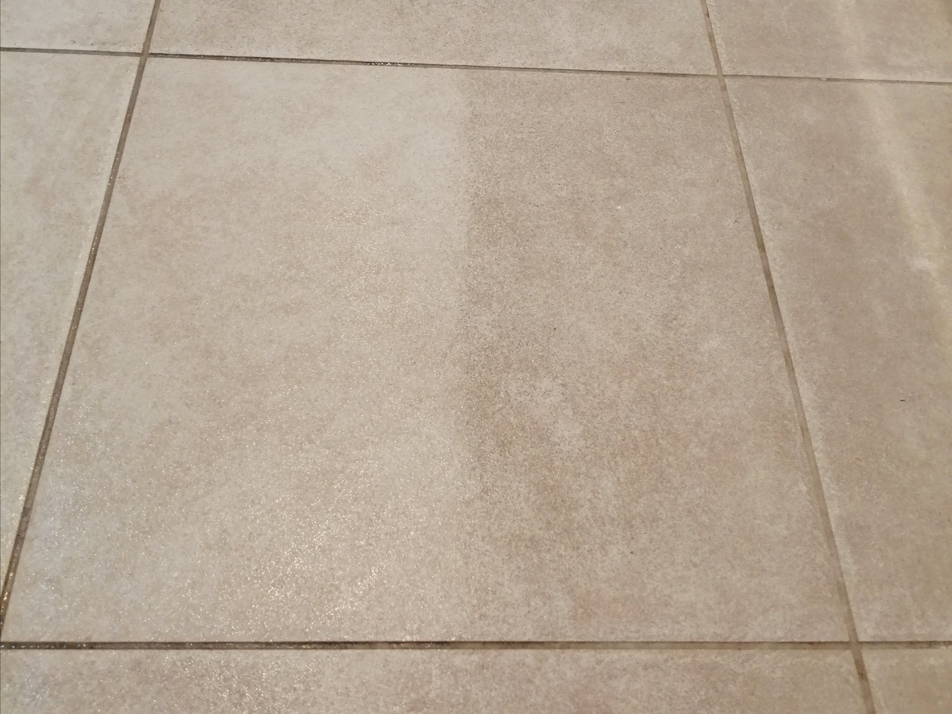 【ダイソー】思わず叫んだ！6年間の汚れを一瞬で落としたお掃除用品