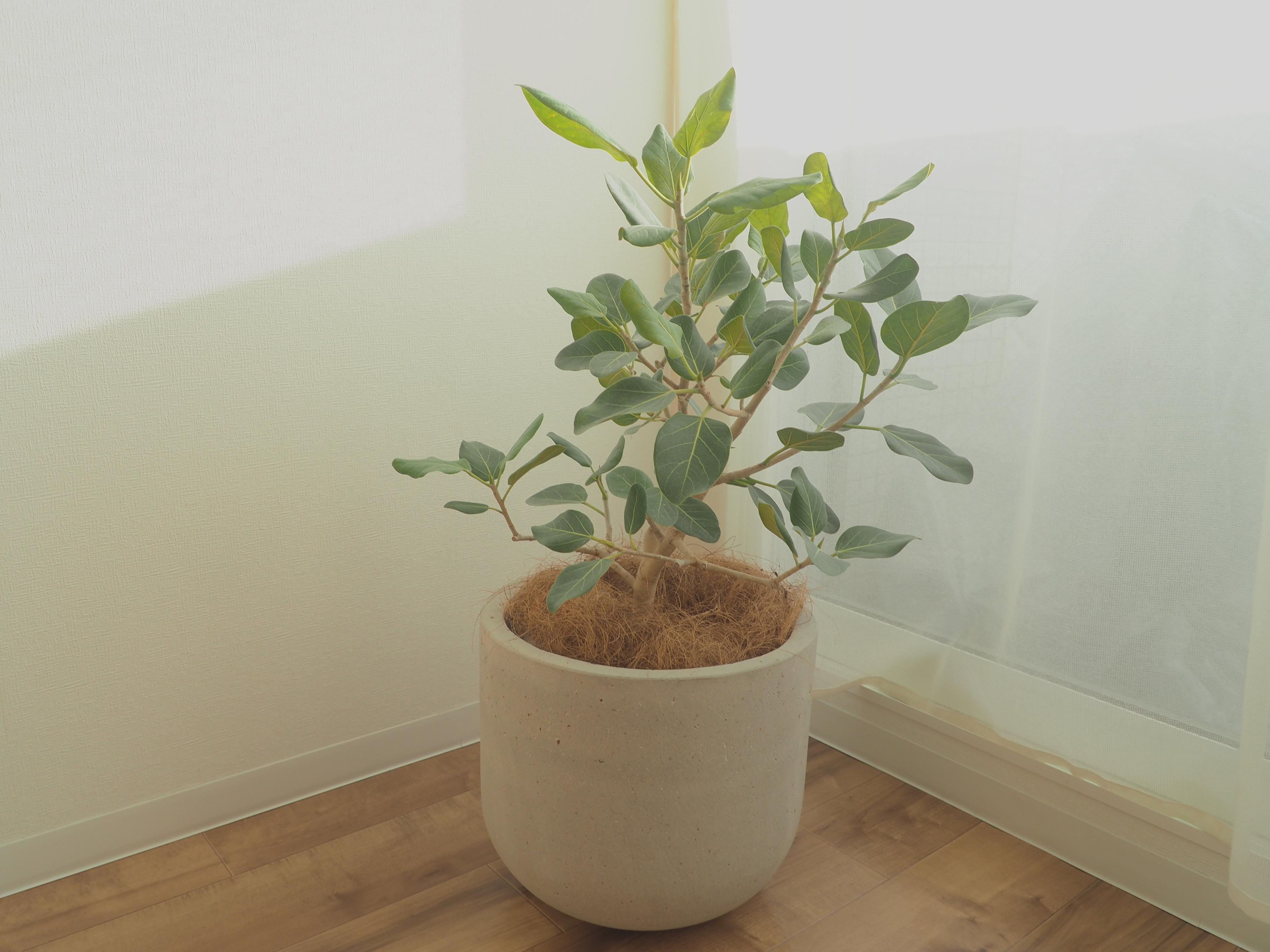 【ミニマリスト】書類は全捨て！収納がスッキリする管理方法3つ