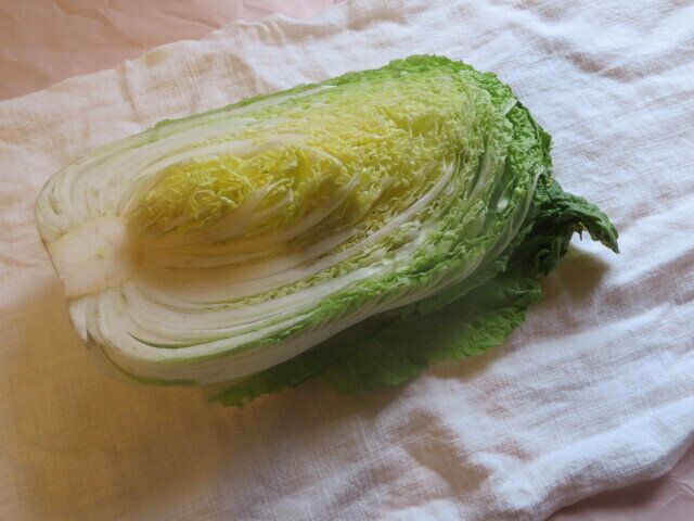 白菜1/2玉があっという間に消える！大量消費レシピ2選