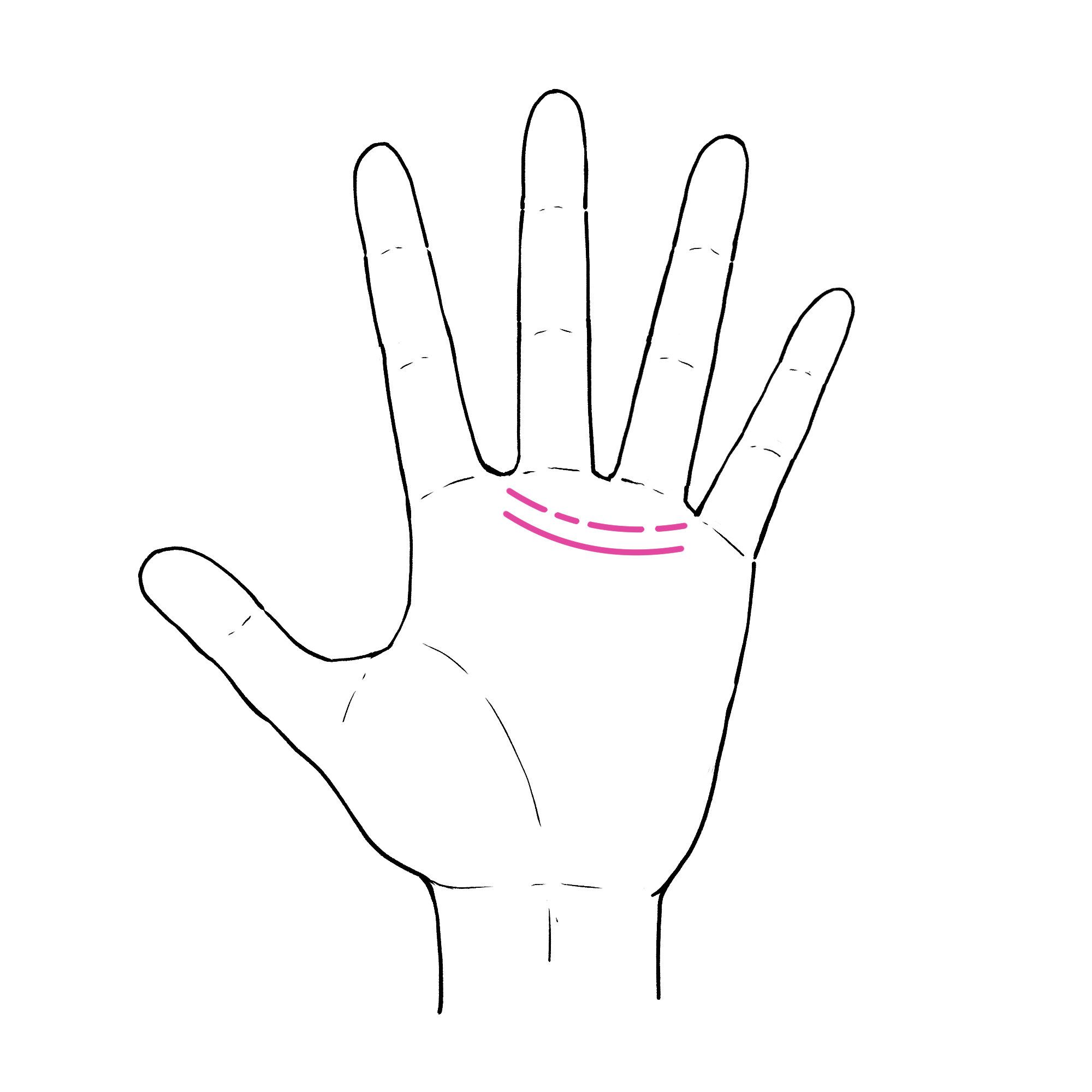 3秒でわかる手相術！あなたの心と生活が満たされる「趣味」はズバリこれ！