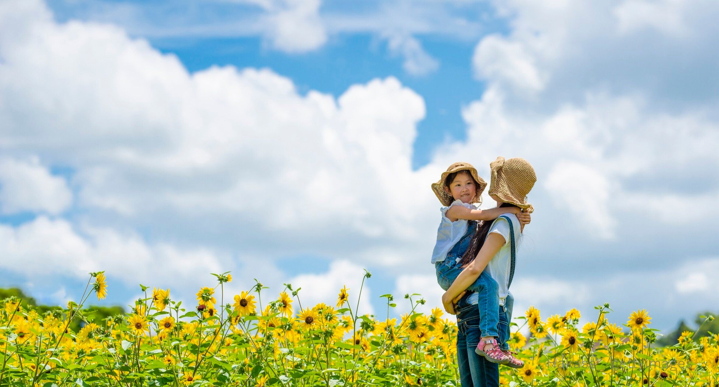 【2022年の挑戦】無計画で始めたフリーランスの仕事とライフワークバランスの充実