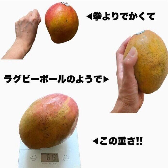 「コストコ」のおすすめ商品！暮らしのプロ＆主婦が買っている大容量食品＆日用品176選｜調理・アレンジ実例とあわせて紹介