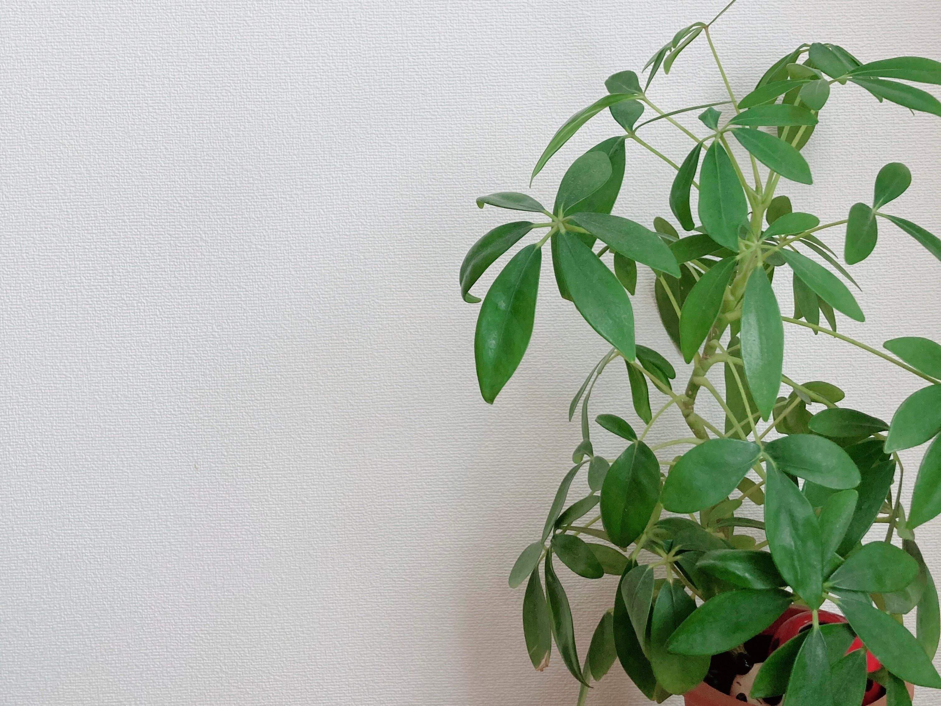 もう家族とギスギスしない！片づけ中に大切にしたいマインド3つ