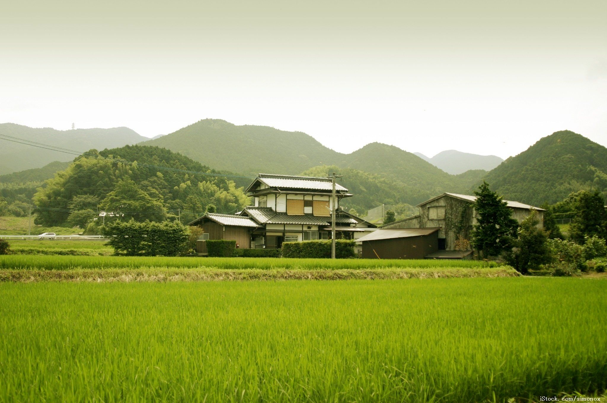 生涯現役94歳一人暮らしの祖母！人生を豊かにする7つの習慣