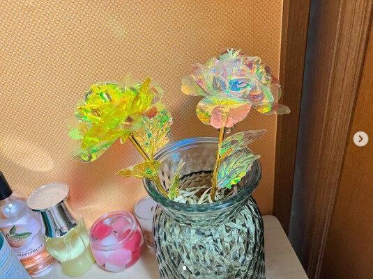 【セリア】誰かに話したくなる～！SNSで話題沸騰中のアイデア商品3選