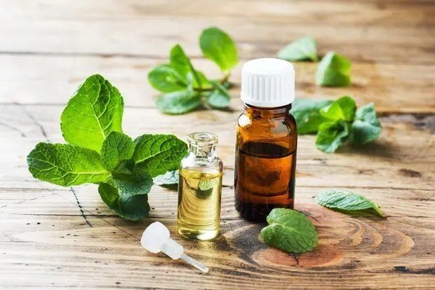 ゴキブリはアロマオイルでも対策できる！おすすめの種類や効果的な使い方