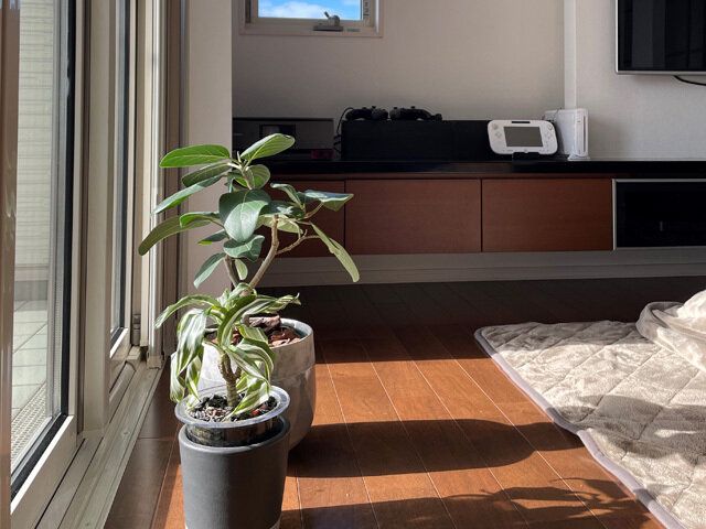 【キレイな家の特徴】リビングのキレイを保つためにやっていること3つ