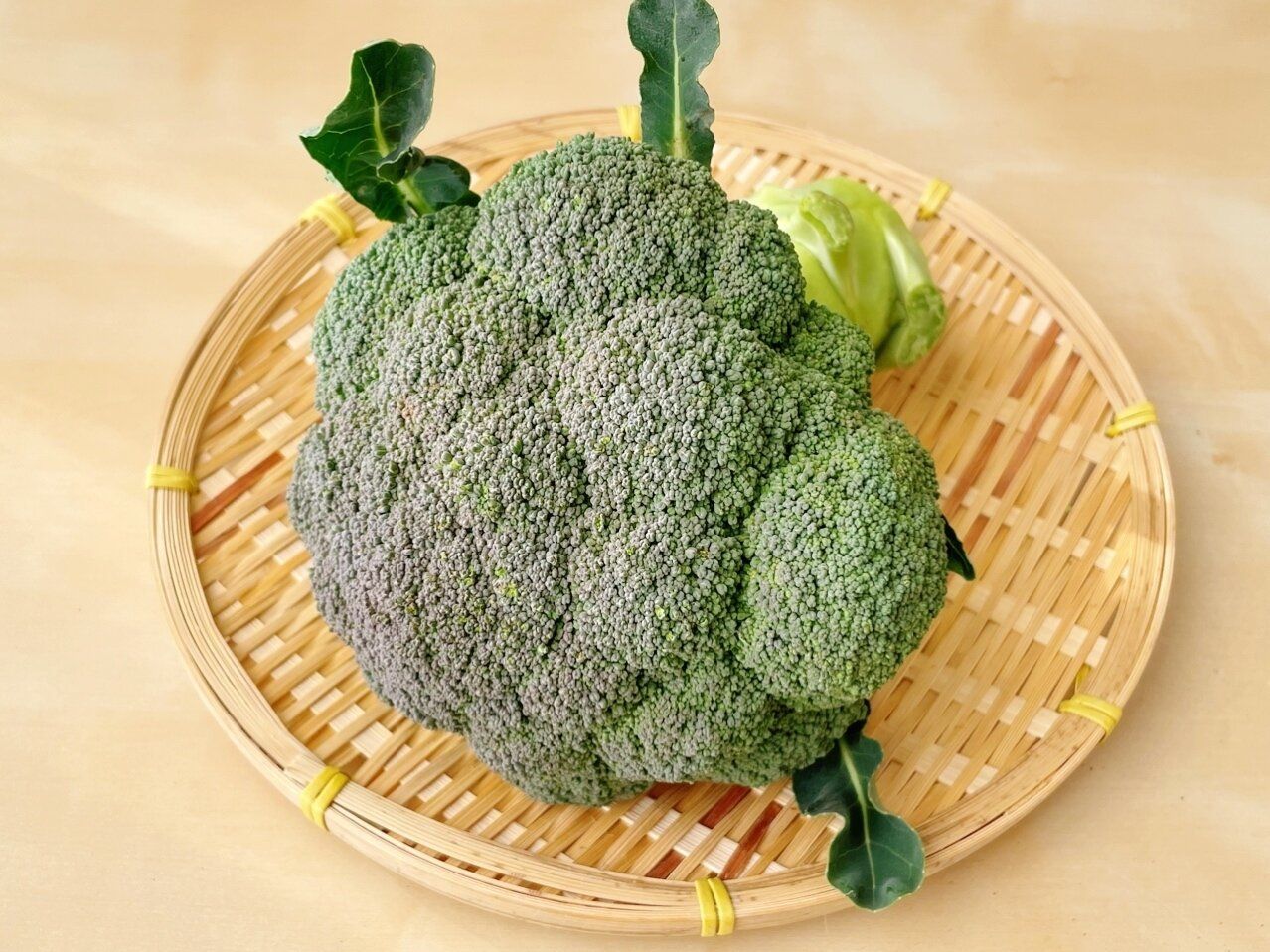 旬のブロッコリー【野菜のプロ】が教える「おいしいブロッコリー」の選び方！