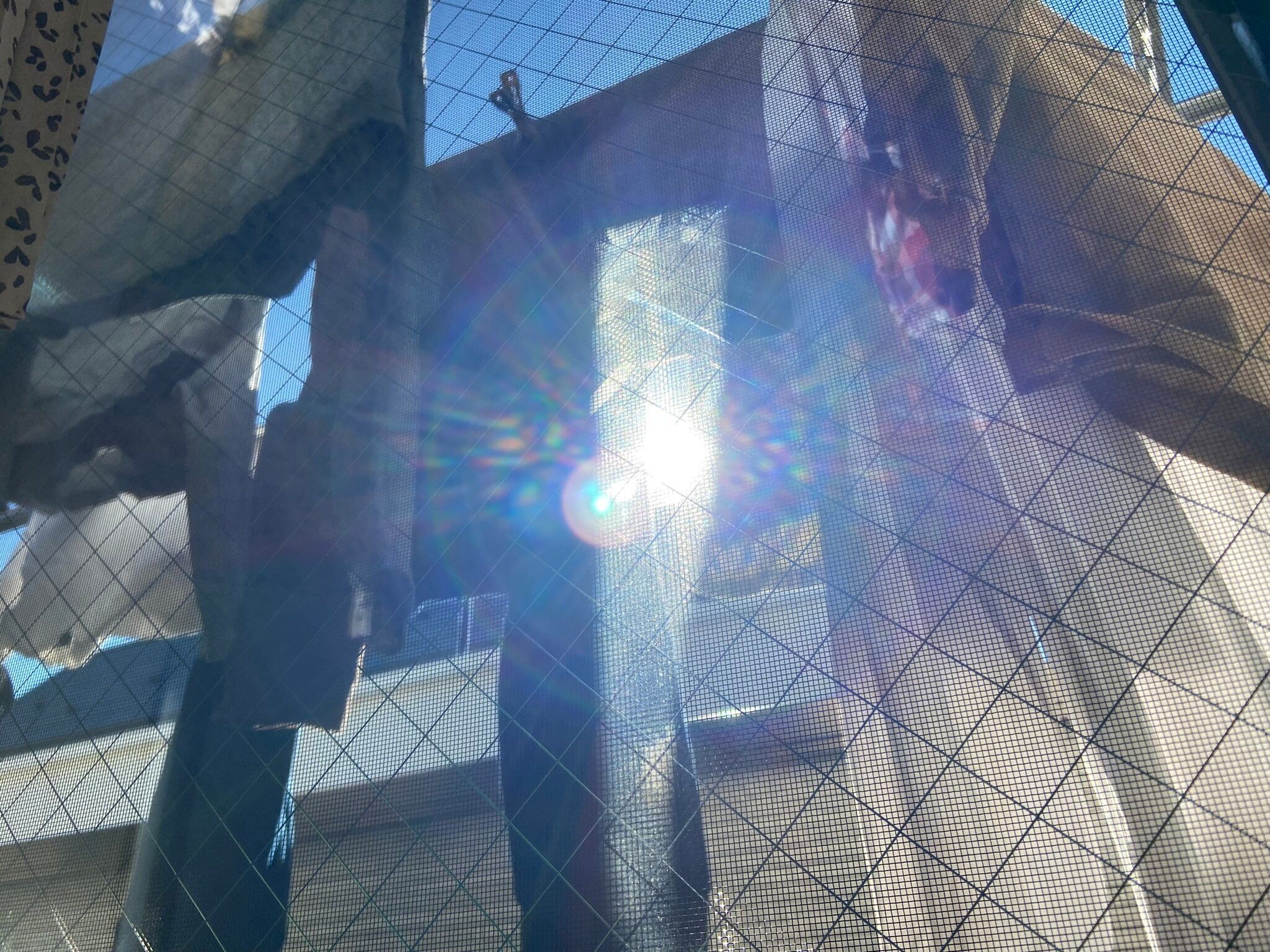 【ラク家事】手放すと家事が一気にラクになる！ズボラにとっての2つのNGワード