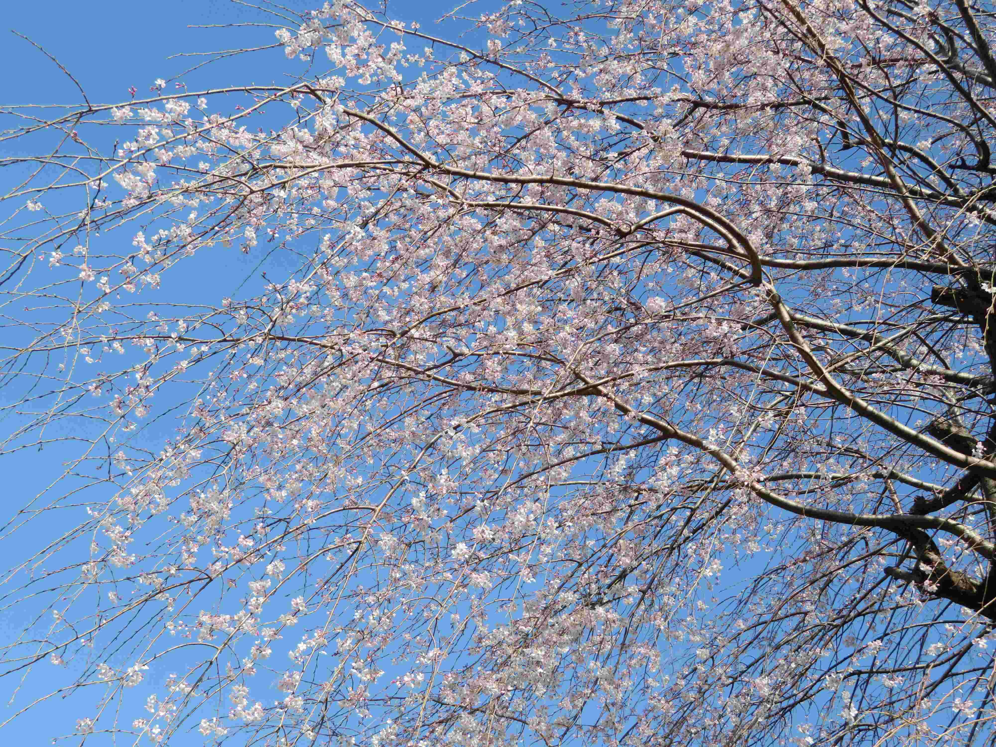 人づきあいが苦手！新生活ストレスでおかしくなる前にやること4