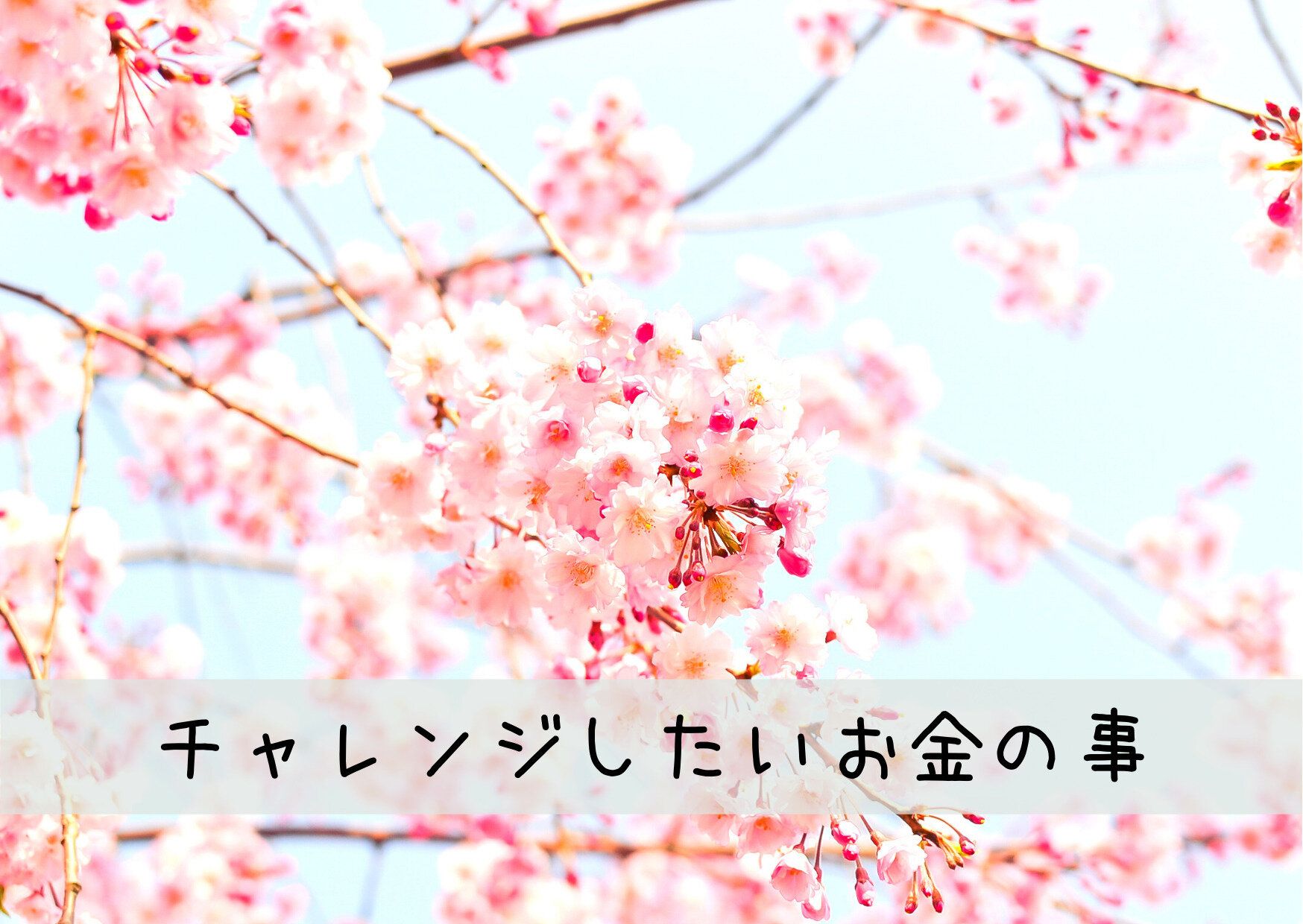 コレをすれば、春こそお金でパンパンに張るお財布になる！？春から始めたいお金貯めチャレンジ3選