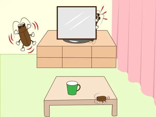 ゴキブリはどこにいる？侵入経路と対策についても解説！