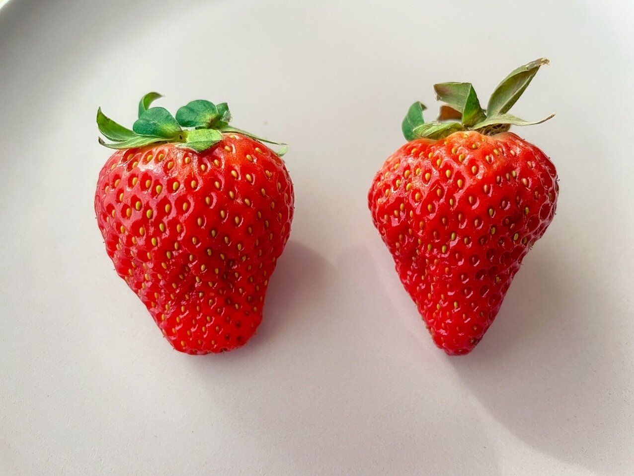いちご買う時は絶対「形」を見て！甘さを形で見分ける方法をご紹介！