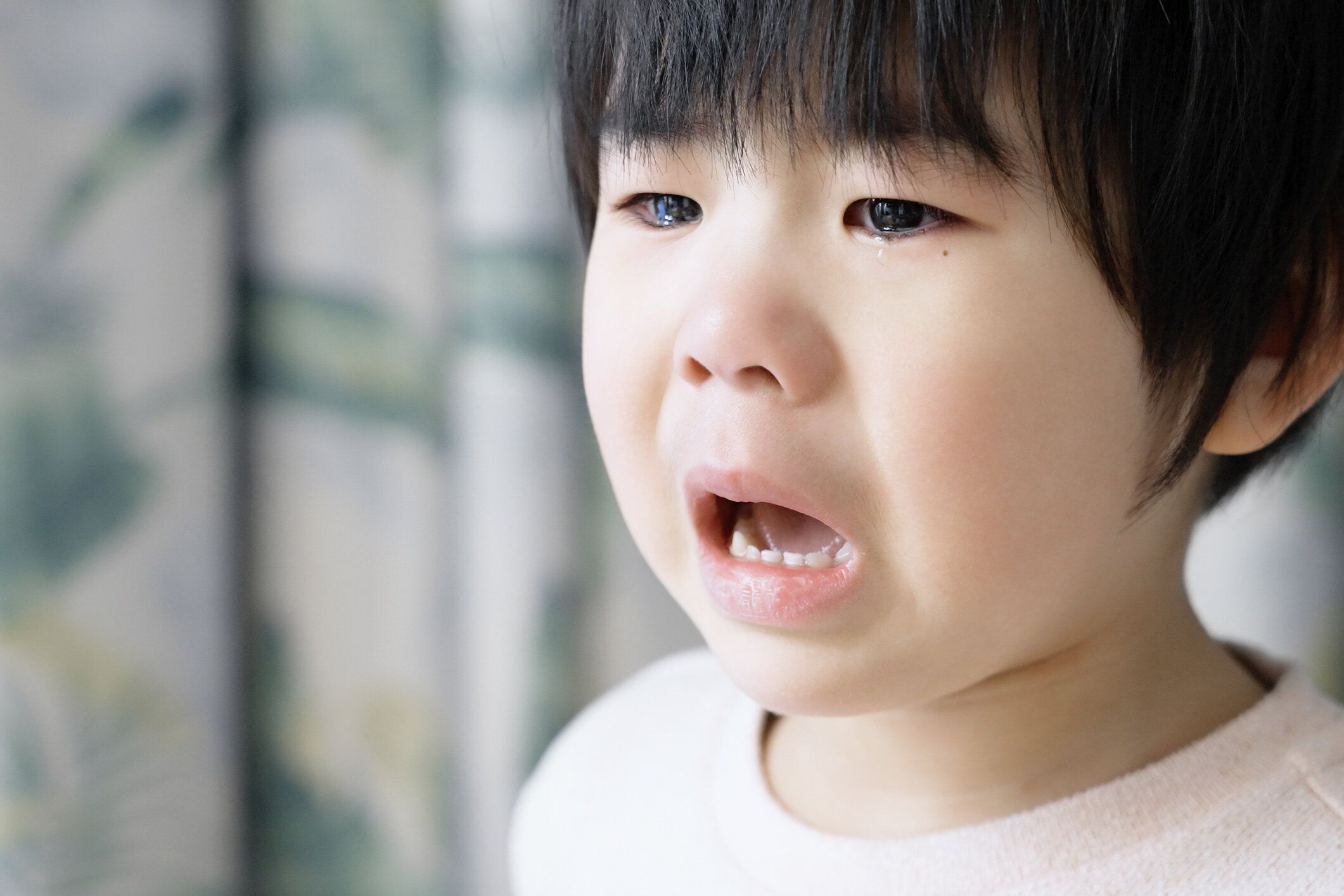 親も子もストレス知らず！がまんできる年中さんの育て方