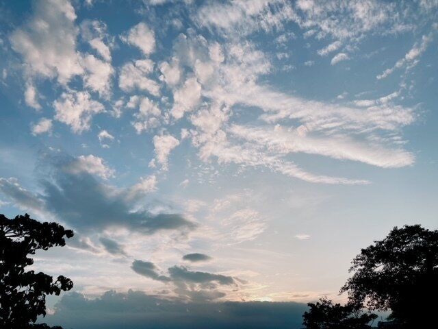 〈愉しくオバさんを生きていく。〉好きなお茶・髪のお手入れ・気の進まないルーティン～みなさまの質問にお答えしちゃう～