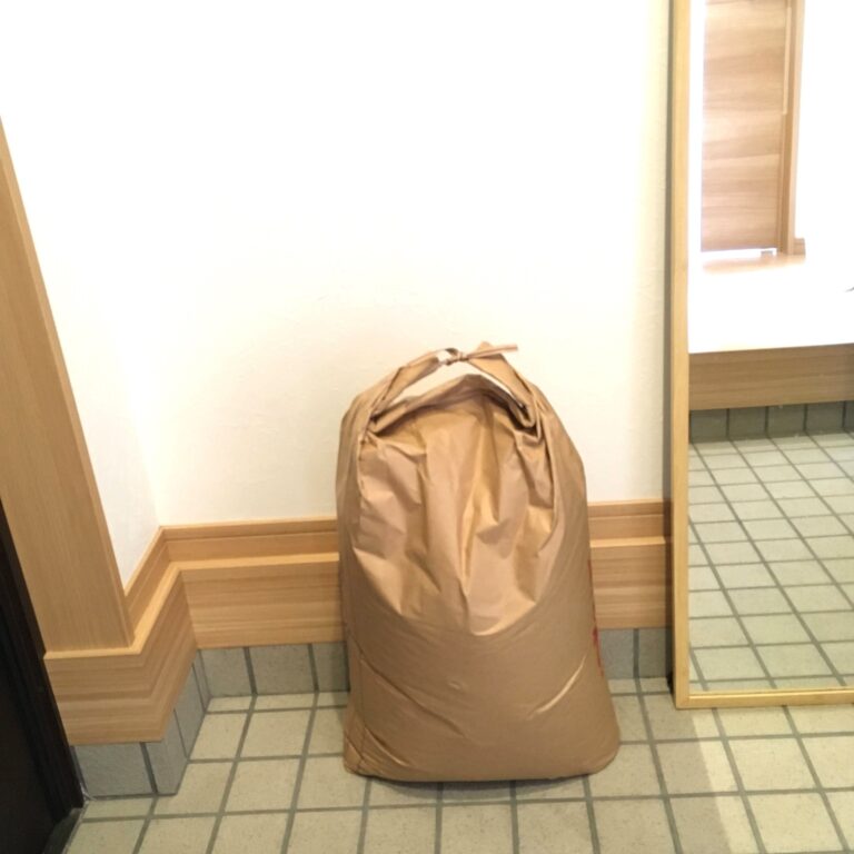【お米の保存はコレが正解】まとめ買いも大丈夫！先取り家事でラクしよう！
