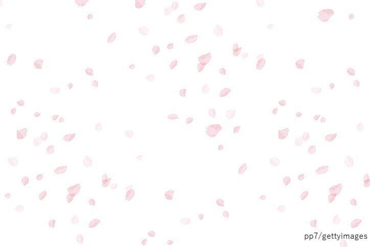 忘れられない桜の思い出