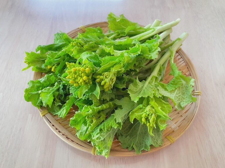 春の味覚「菜花」で何つくる？おひたし以外のおすすめレシピ3選