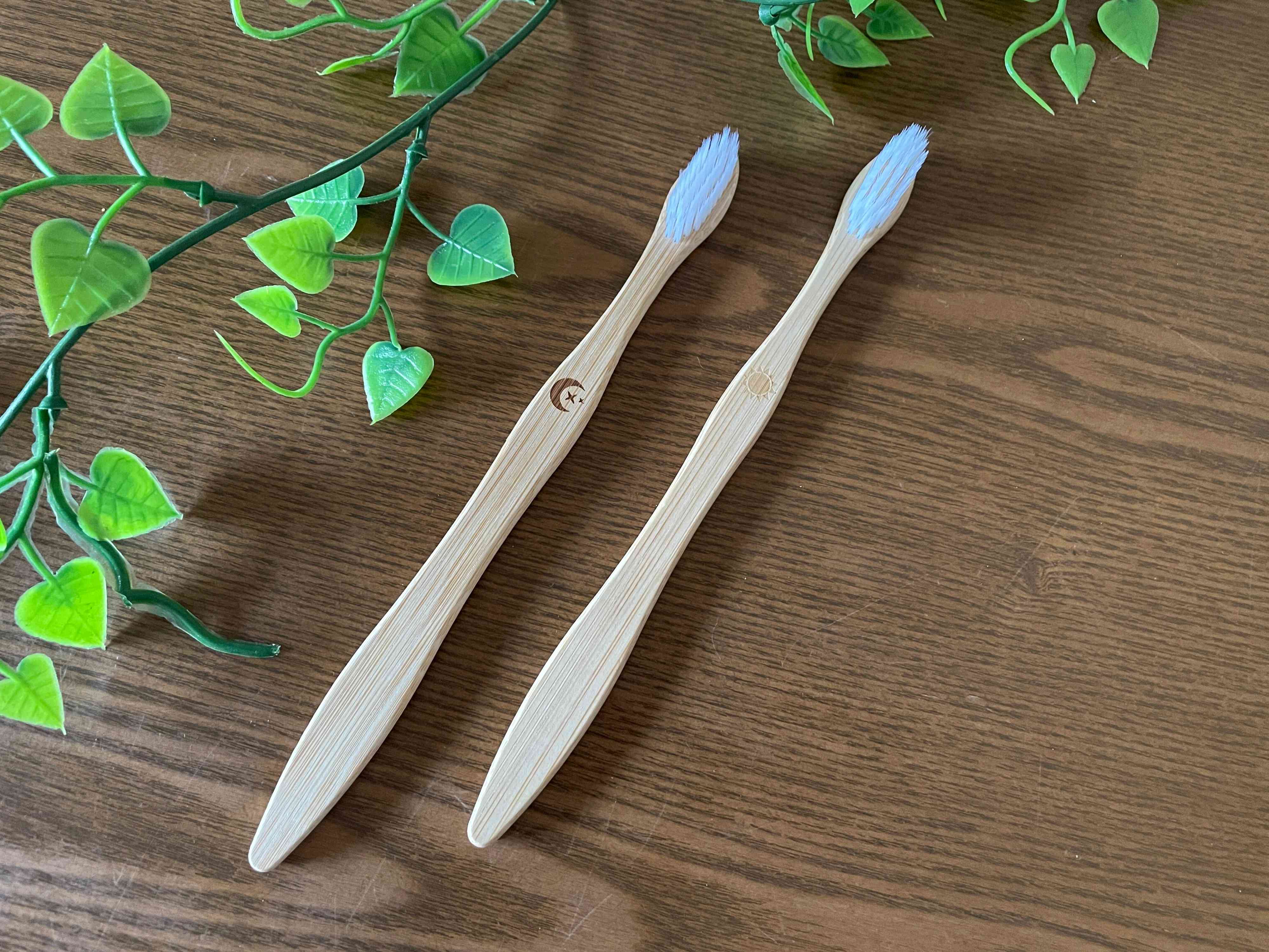 【ダイソーでSDGs】環境にやさしい竹の歯ブラシ見つけた！