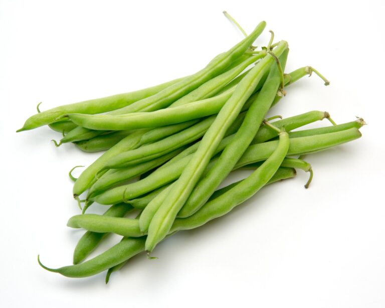 【野菜のプロ監修】「いんげん」の保存方法は？正しい方法を知りおいしく使い切ろう！