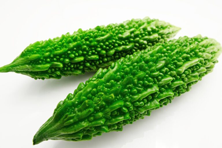 【野菜のプロ監修】「ゴーヤ」の保存方法は？正しい方法を知りおいしく使い切ろう！