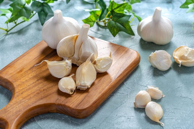【野菜のプロ監修】「にんにく」の保存方法は？正しい方法を知りおいしく使いきろう！