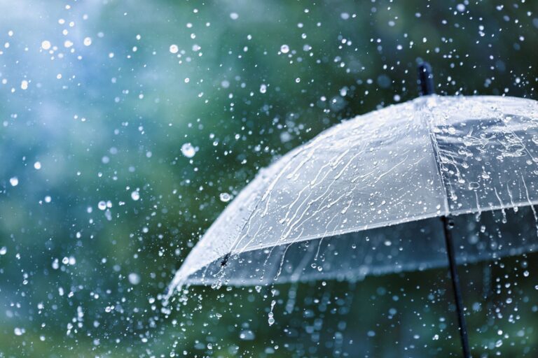 梅雨入り前にやっておかないとヤバい家事5選